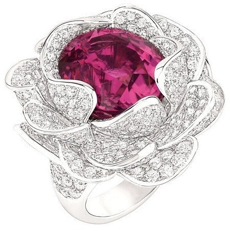 Classic Ring with Timeless Appeal