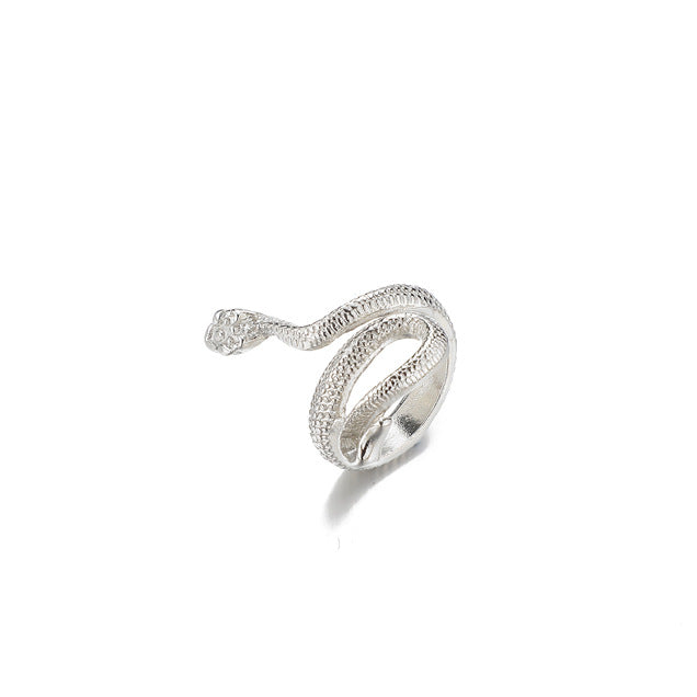 Classic Silver Ring with Timeless Appeal