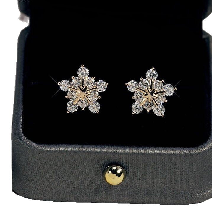 Beautiful Earring with Unique Style