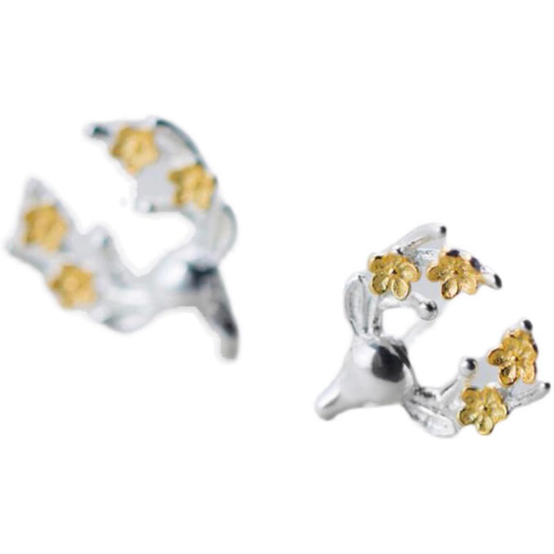 Beautiful Earring with Unique Style