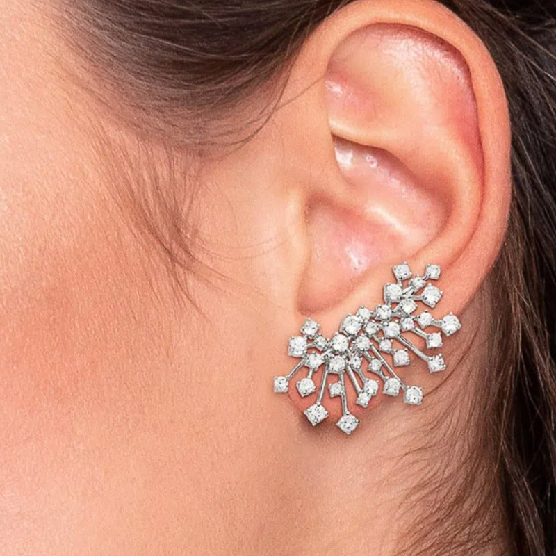 Beautiful Earring with Unique Style