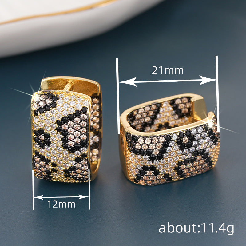 Beautiful Earring with Unique Style