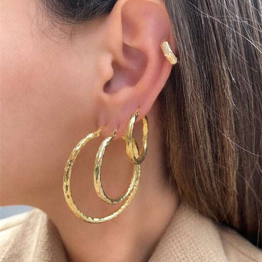 Stunning Earring for Daily Wear
