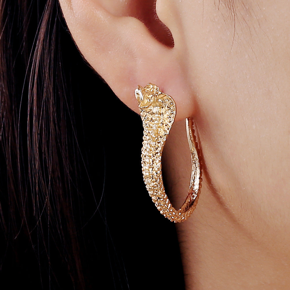 Beautiful Earring with Unique Style