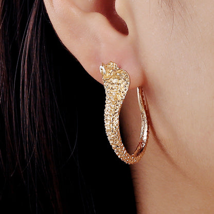 Beautiful Earring with Unique Style