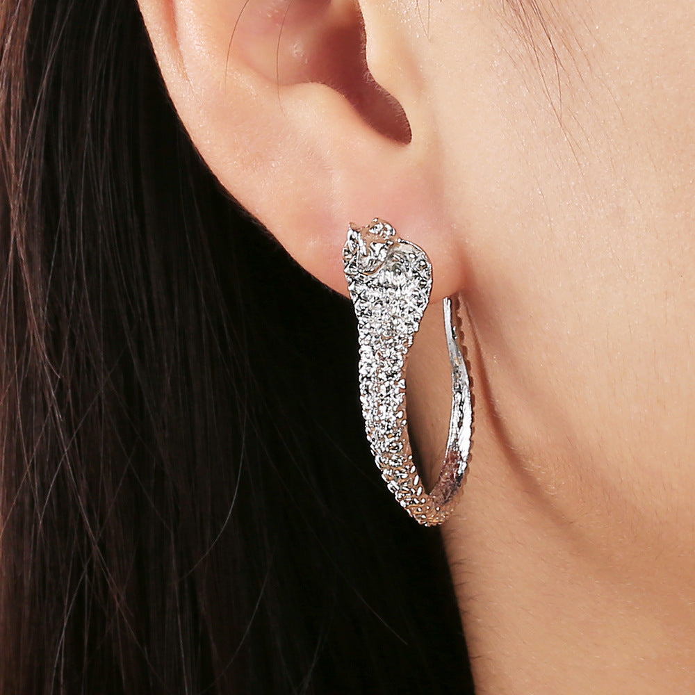 Beautiful Earring with Unique Style