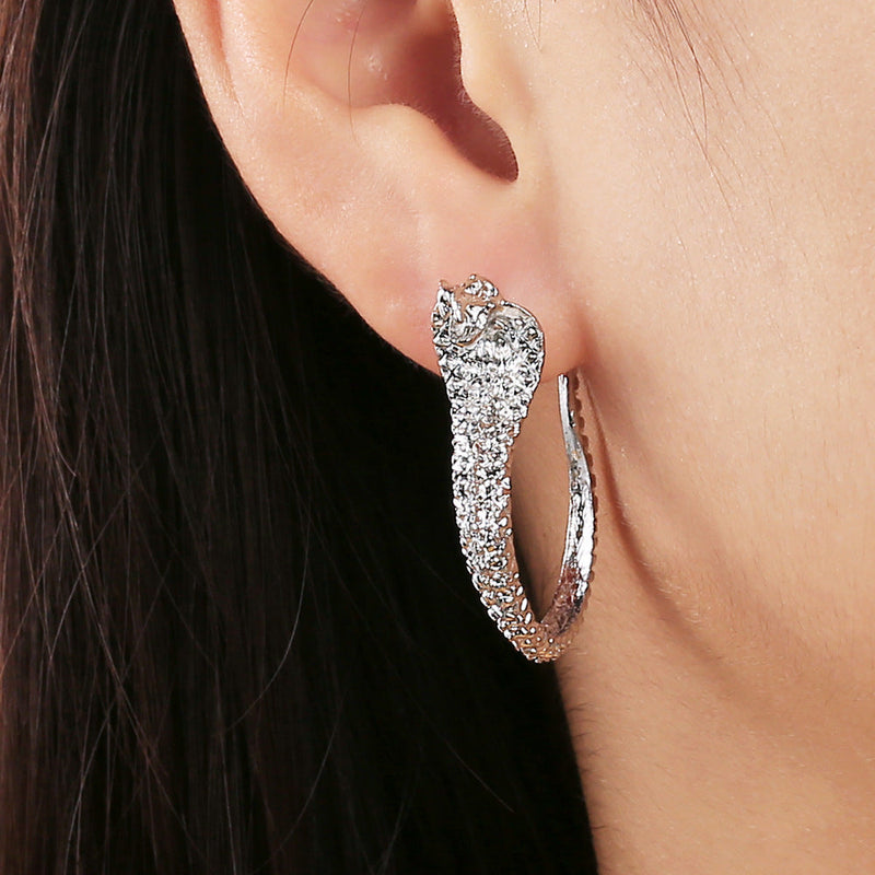 Beautiful Earring with Unique Style