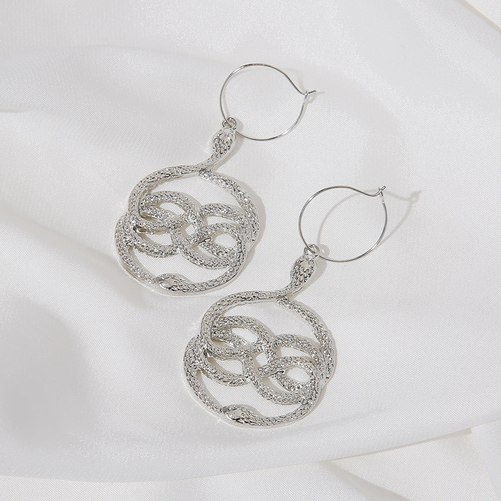 Beautiful Earring with Unique Style