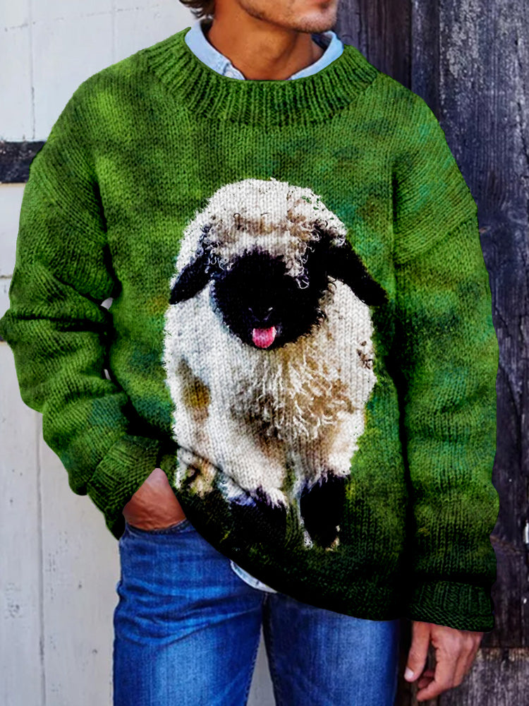 Classic Designed Jumper