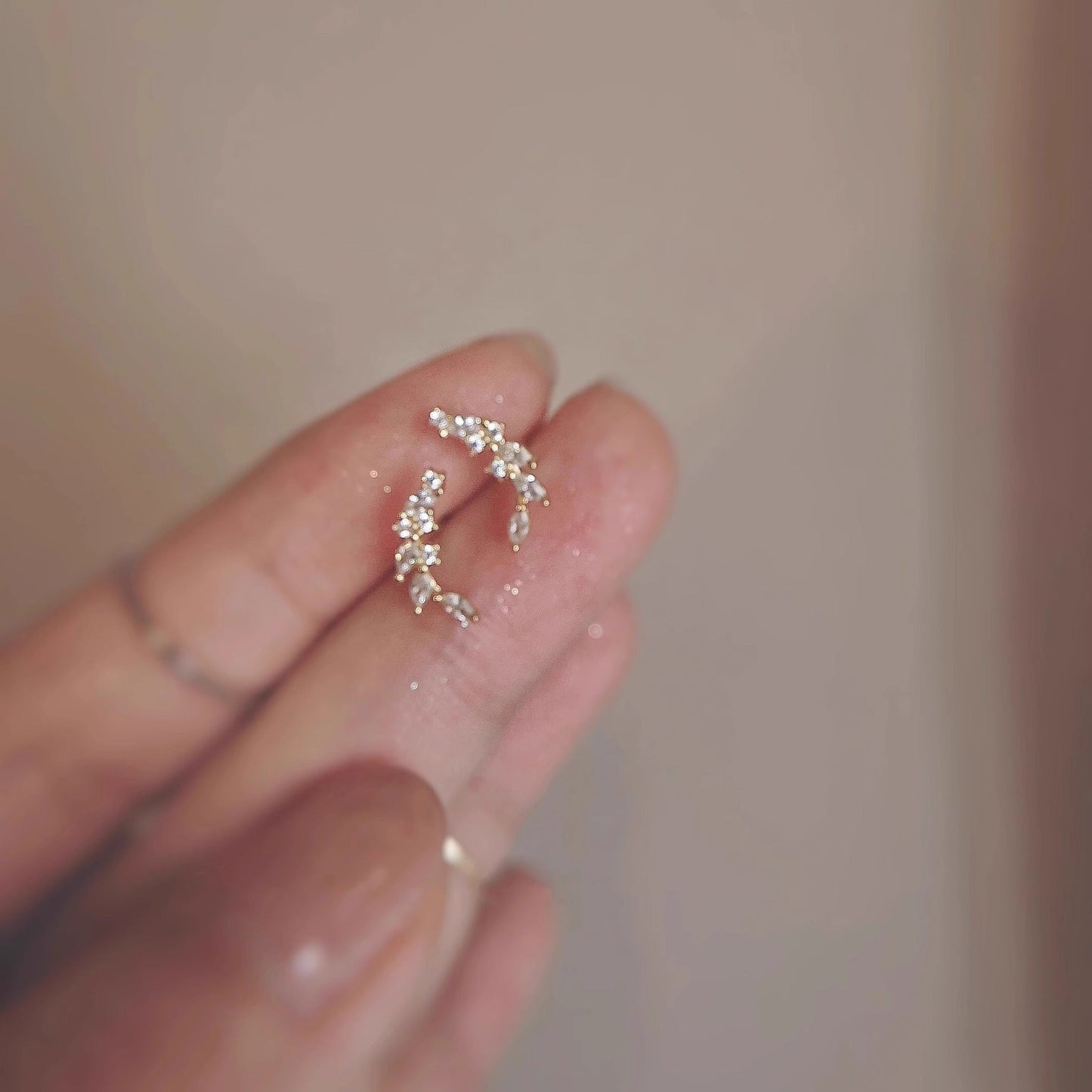 Beautiful Earring with Unique Style