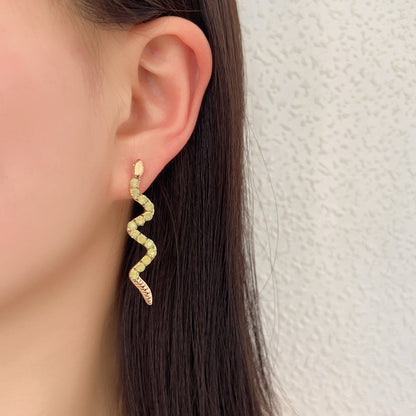 Beautiful Earring with Unique Style