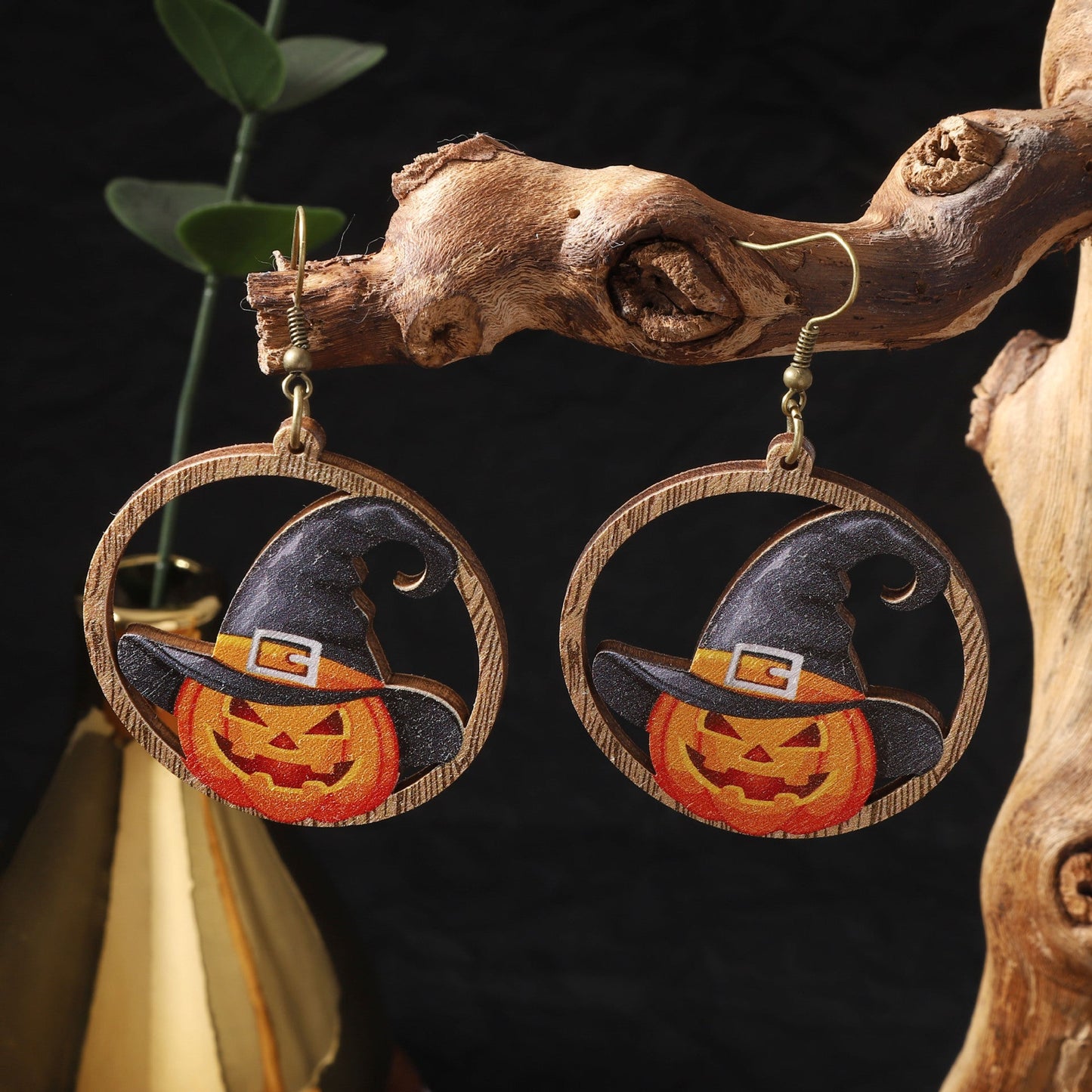 Charming Earring for Any Occasion