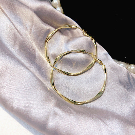 Stunning Earring for Daily Wear