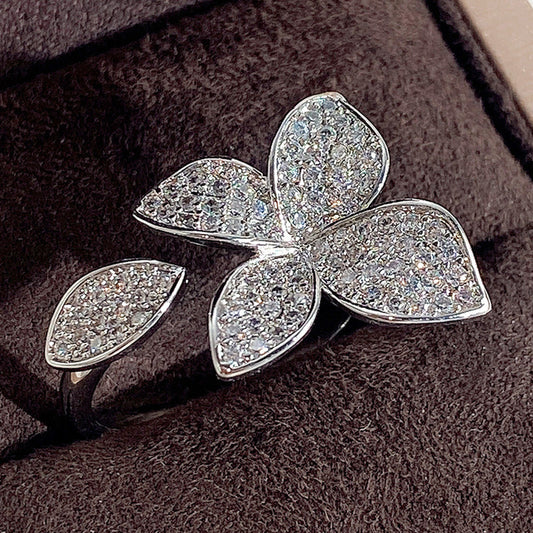 Classic Set with Timeless Appeal