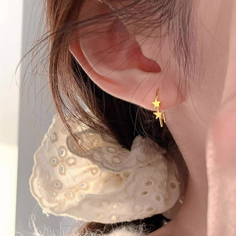 Beautiful Earring with Unique Style