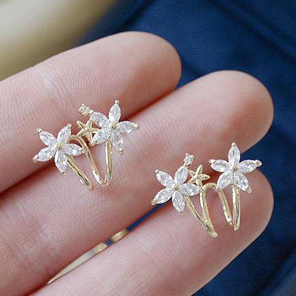 Charming Earring for Any Occasion