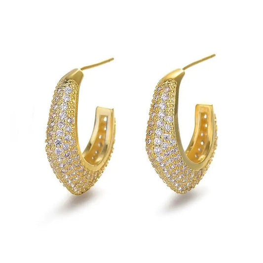 Classic Earring with Timeless Appeal