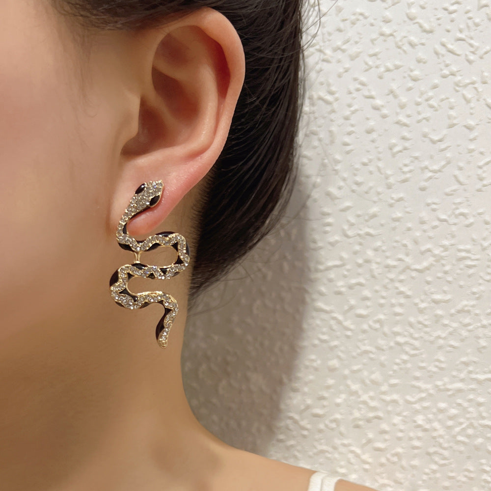 Charming Earring for Any Occasion