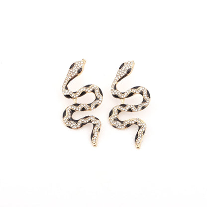 Charming Earring for Any Occasion