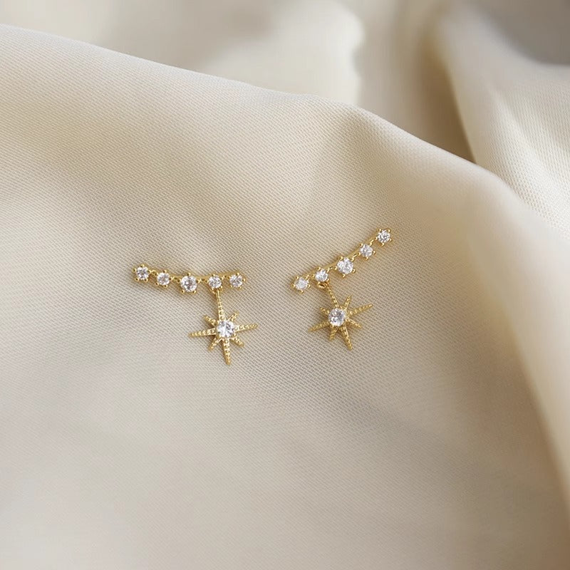Beautiful Earring with Unique Style
