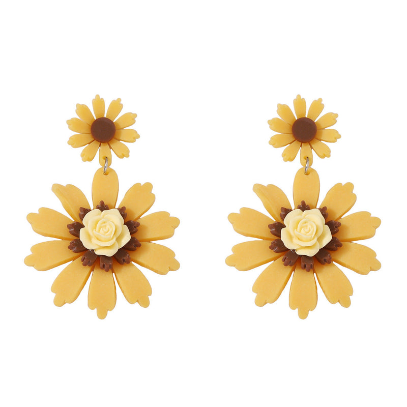 Charming Earring for Any Occasion