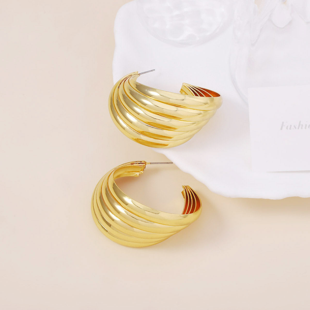 Beautiful Earring with Unique Style