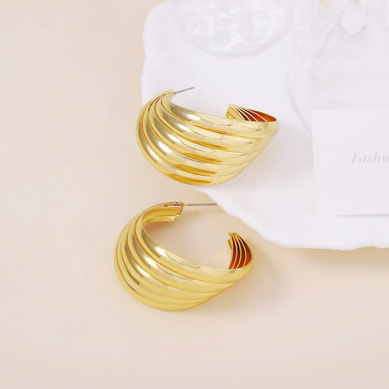 Beautiful Earring with Unique Style