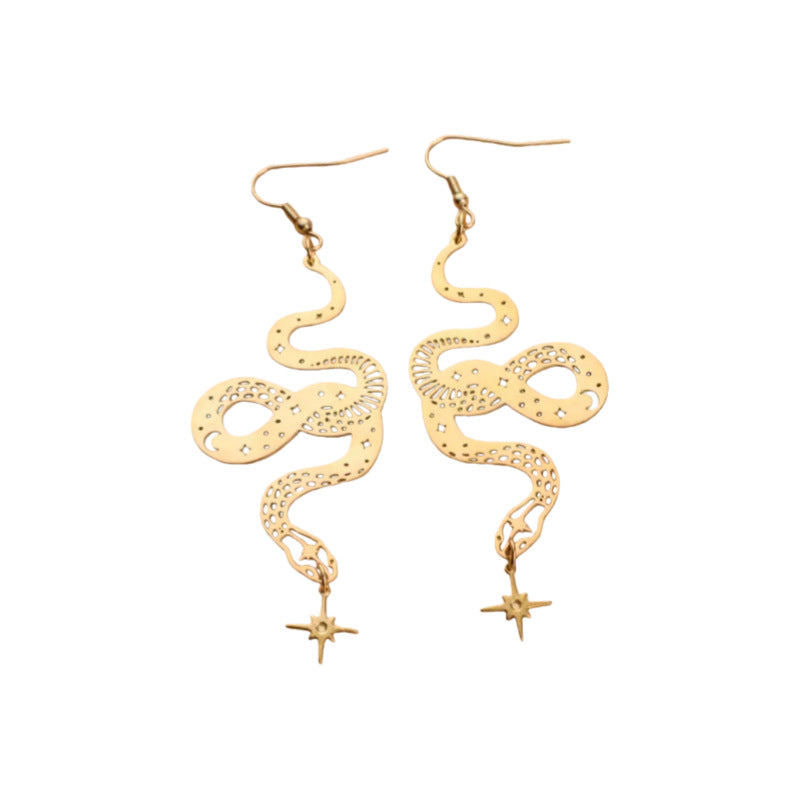 Charming Earring for Any Occasion