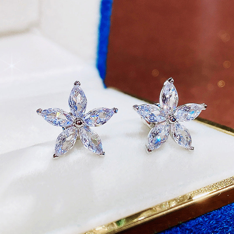 Beautiful Earring with Unique Style