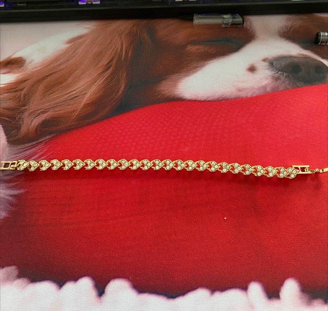 Charming Bracelet for Any Occasion