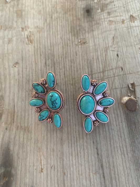 Stunning Earring for Daily Wear