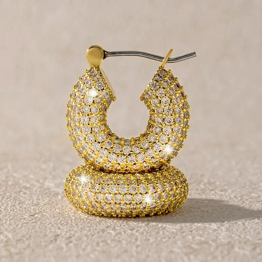 Stunning Earring for Daily Wear