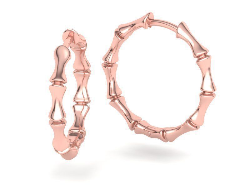 Beautiful Earring with Unique Style
