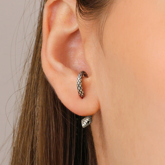 Stunning Earring for Daily Wear