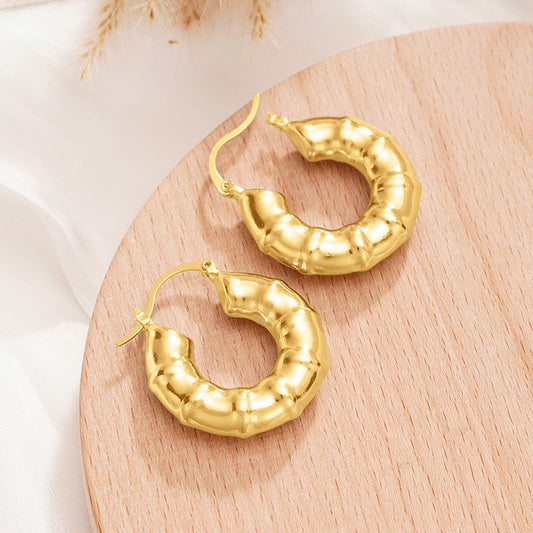 Beautiful Earring with Unique Style