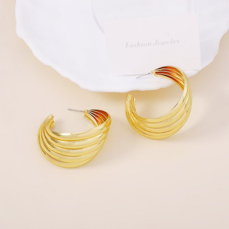 Beautiful Earring with Unique Style