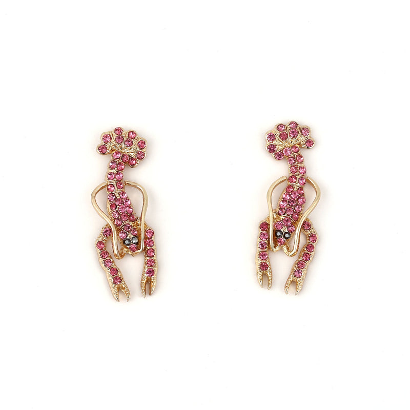 Charming Earring for Any Occasion