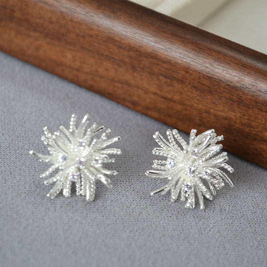 Classic Silver Earring with Timeless Appeal