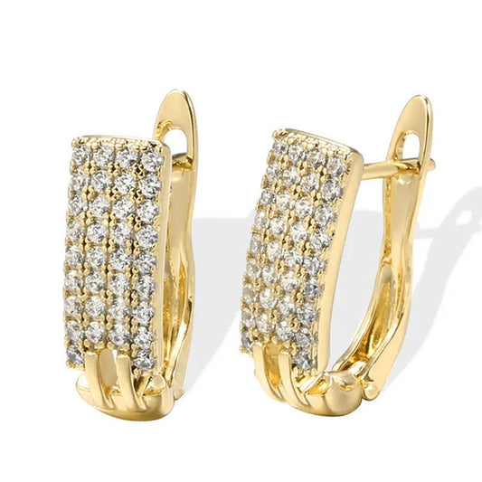 Stunning Earring for Daily Wear