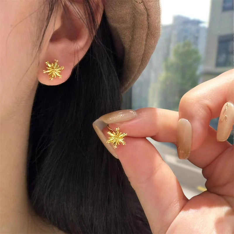 Beautiful Earring with Unique Style