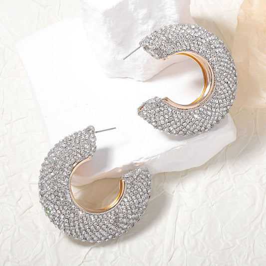 Charming Earring for Any Occasion