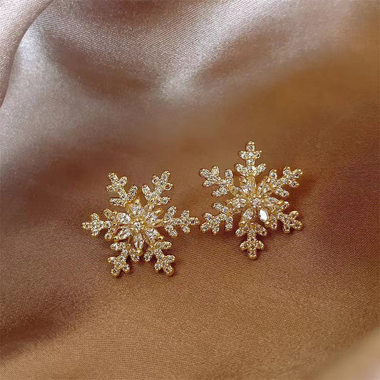 Stunning Earring for Daily Wear