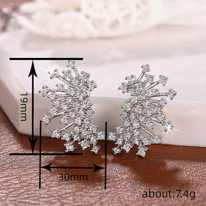 Beautiful Earring with Unique Style