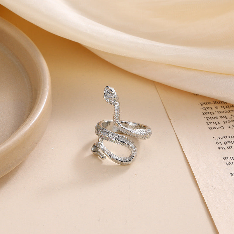 Classic Silver Ring with Timeless Appeal