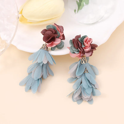 Beautiful Earring with Unique Style