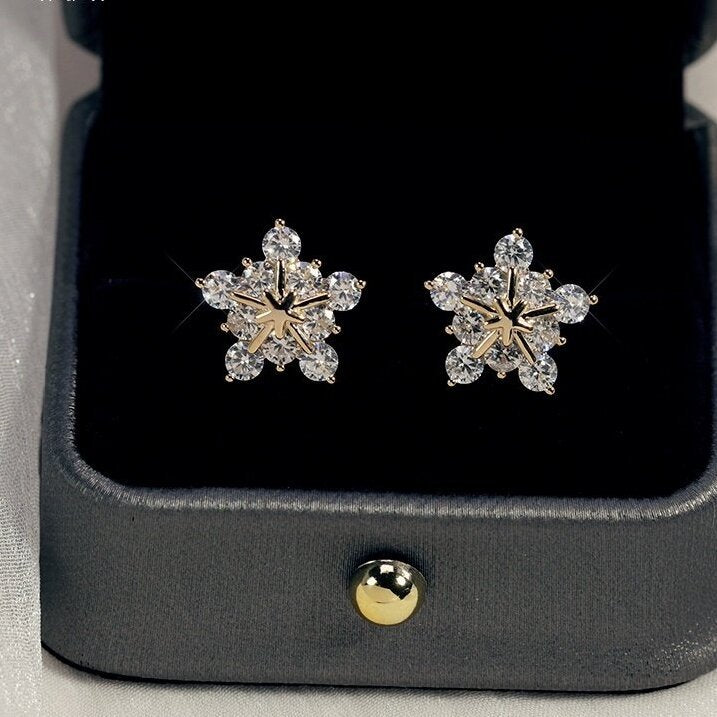 Beautiful Earring with Unique Style