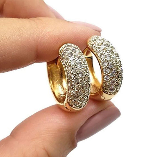 Stunning Earring for Daily Wear