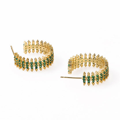 Beautiful Earring with Unique Style