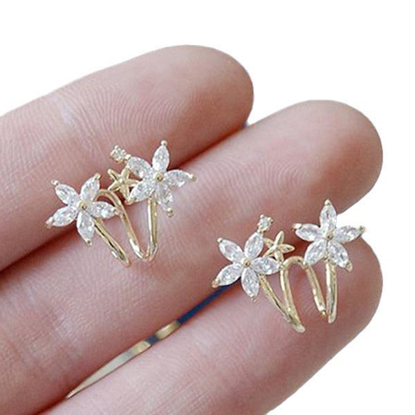 Charming Earring for Any Occasion