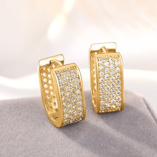 Stunning Earring for Daily Wear
